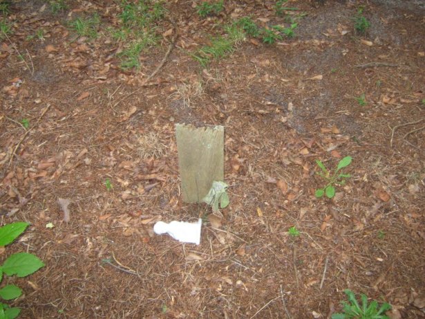 headstone