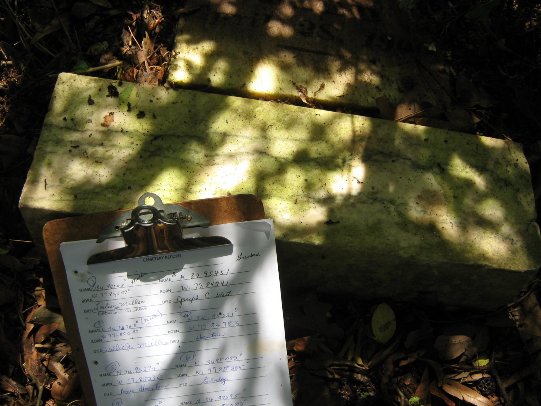 headstone