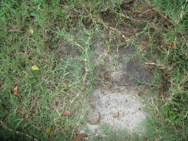 headstone